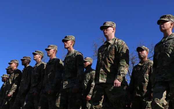 3rd ID march for MLK