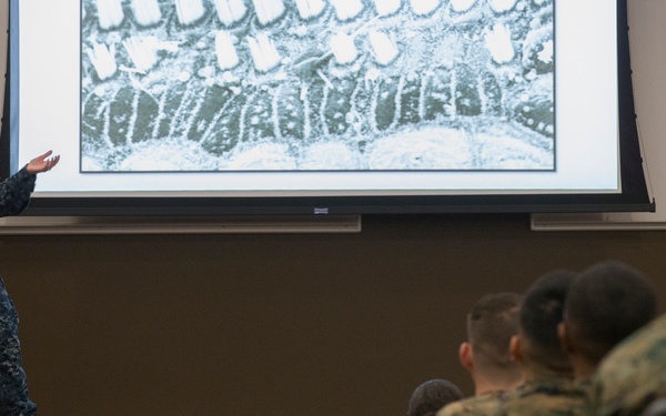 Back in the Saddle Training 2017