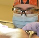 5 MDG: Dental