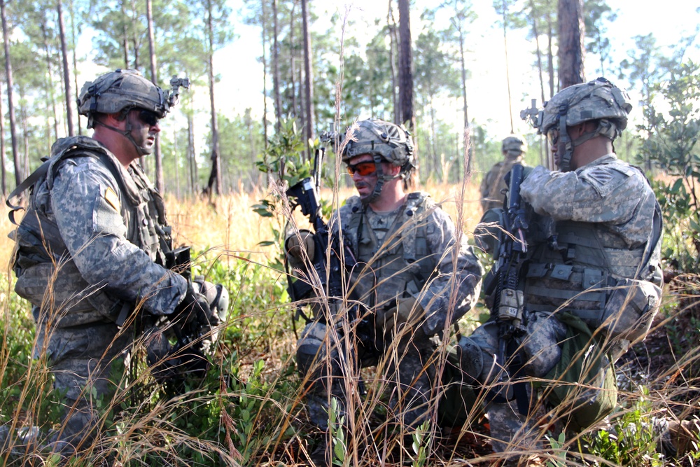Alpha company 1-30th live-fire exercises