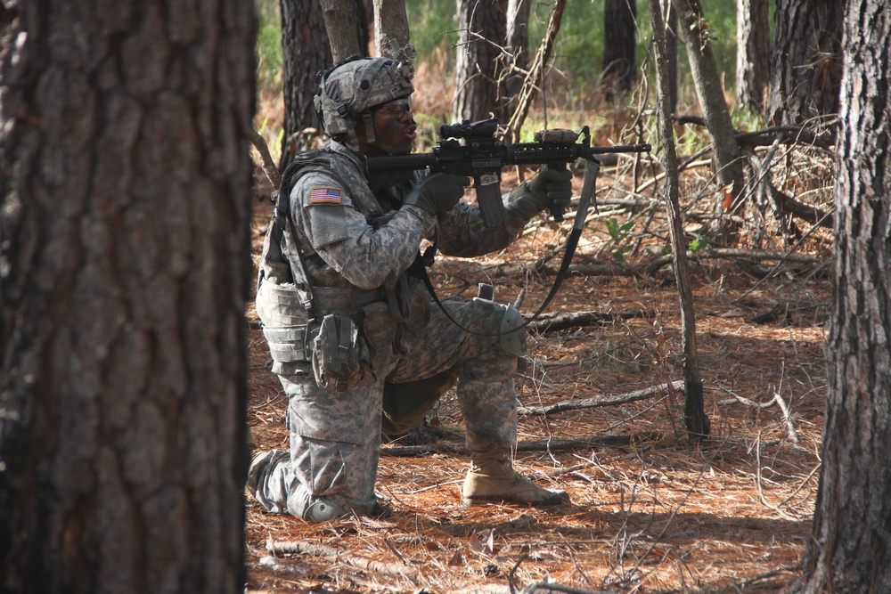 Alpha company 1-30th live-fire exercises