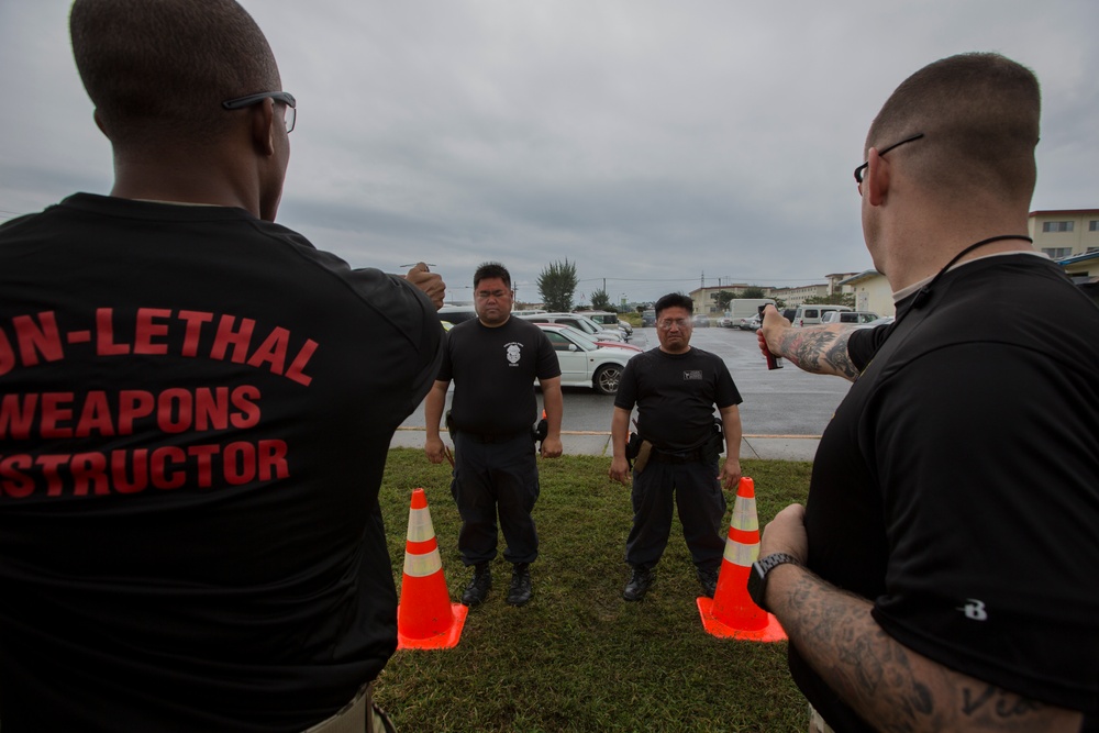 Non-Lethal Weapons Instructor Course