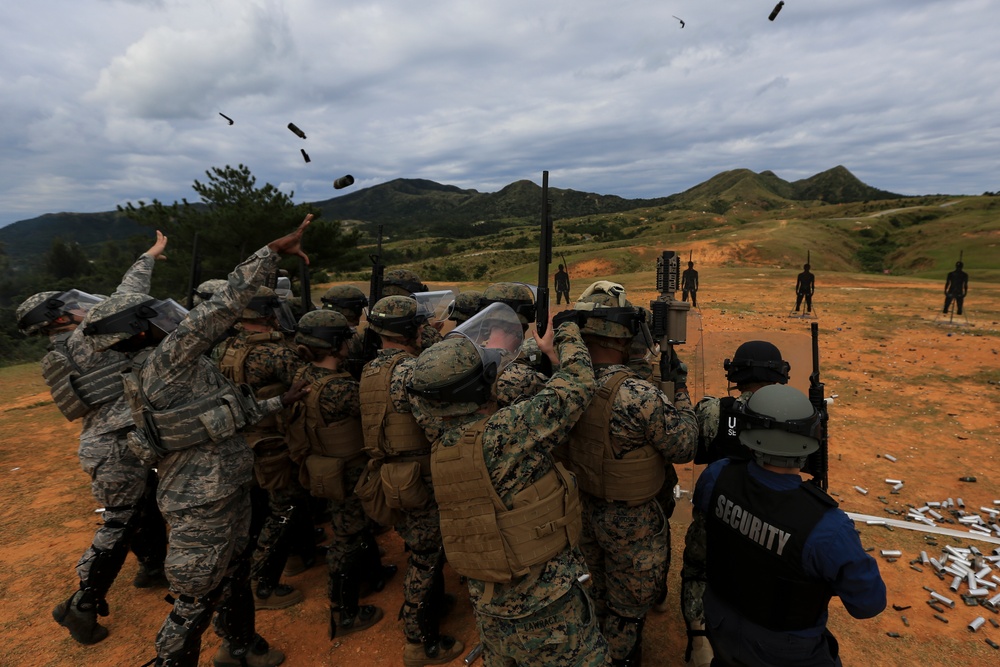 Non-Lethal Weapons Instructor Course