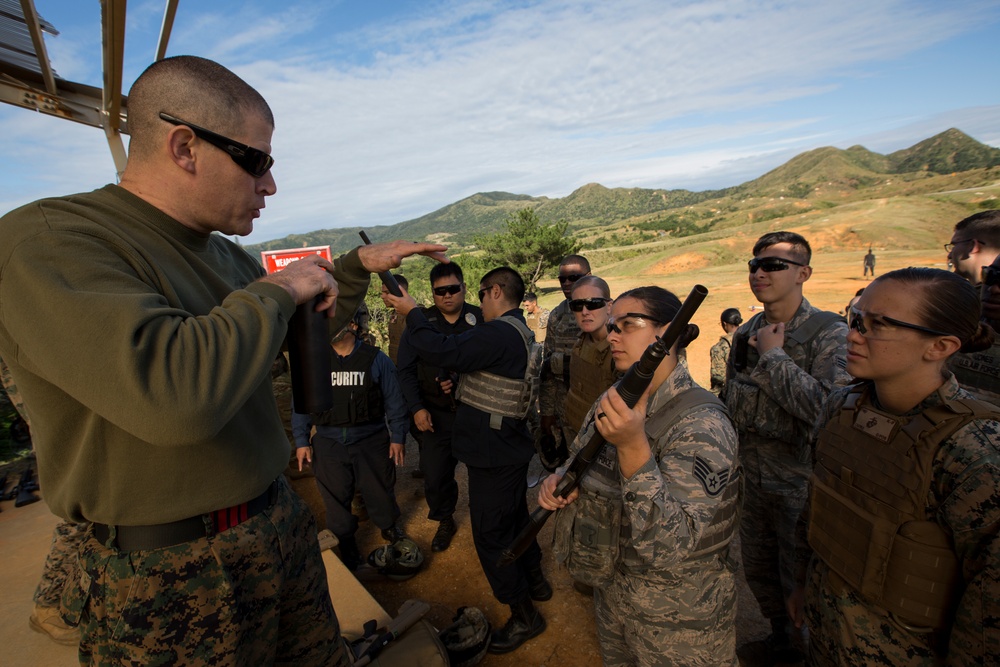 Non-Lethal Weapons Instructor Course