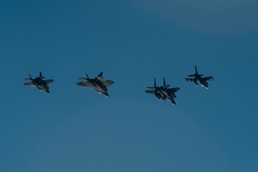 Strike Eagle in four-ship flyover of 58th Presidential Inauguration