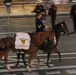 U.S. Army 1st Cavalry Division Horse Detachment