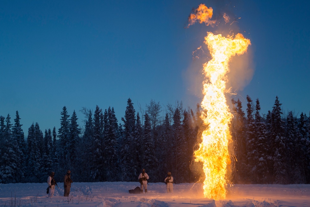 2-377 PFAR paratroopers conduct live fire/cold weather training