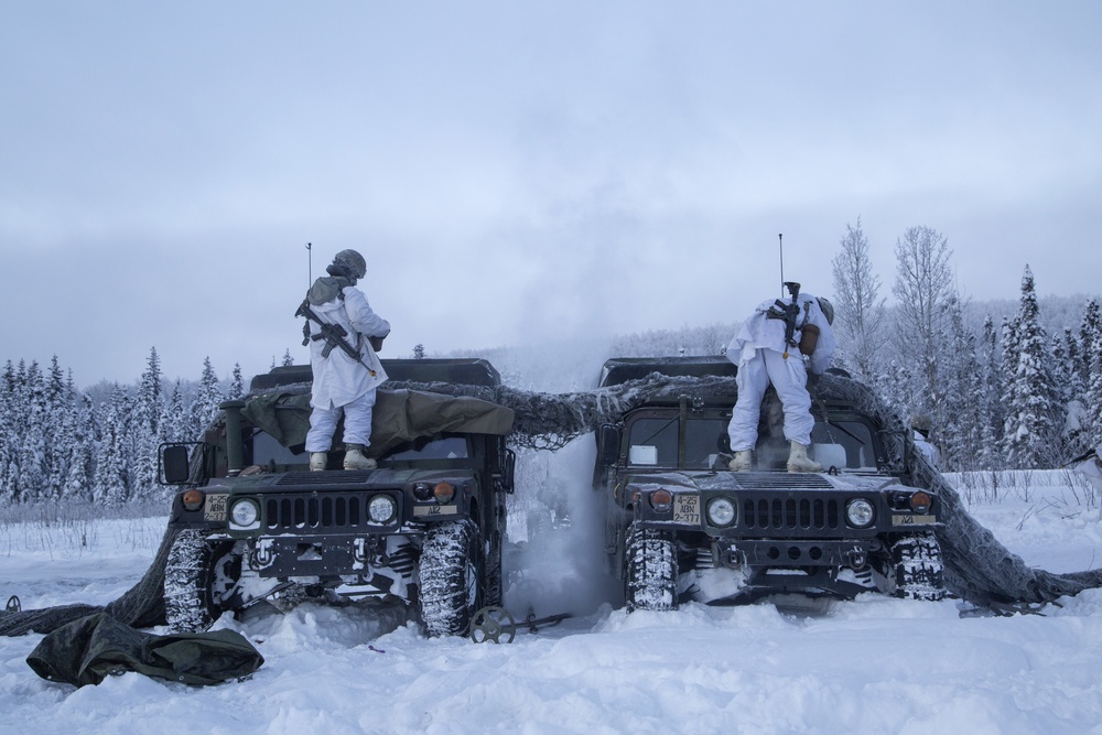 2-377 PFAR paratroopers conduct live fire/cold weather training