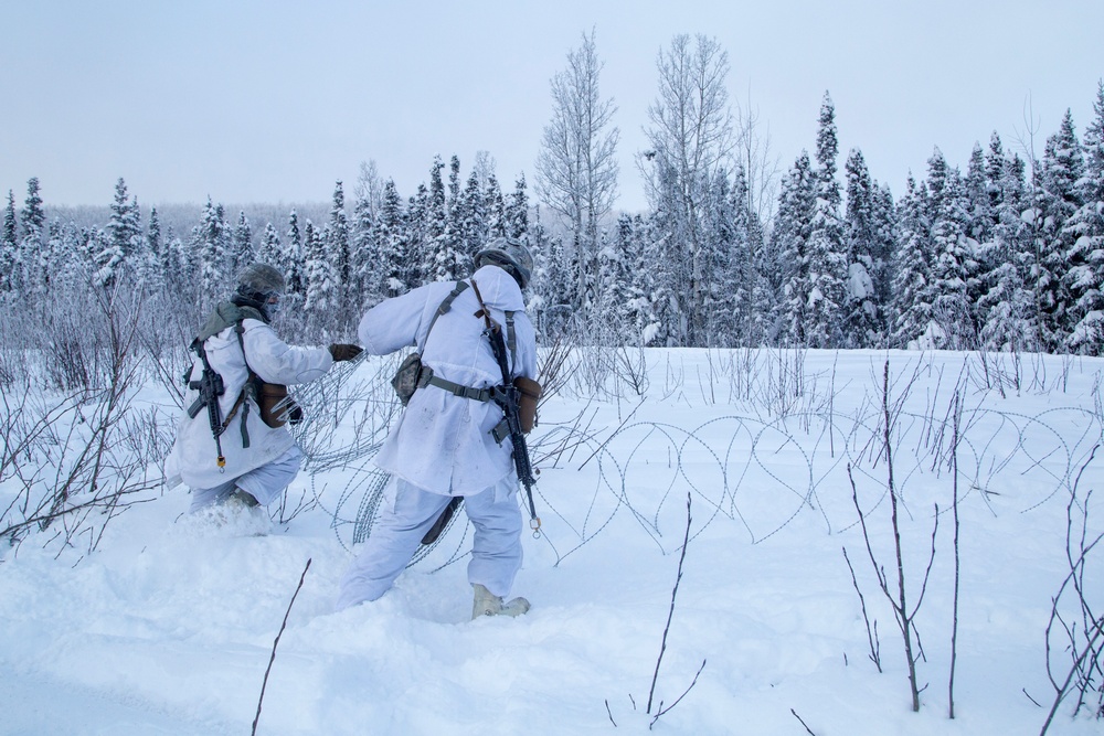 2-377 PFAR paratroopers conduct live fire/cold weather training