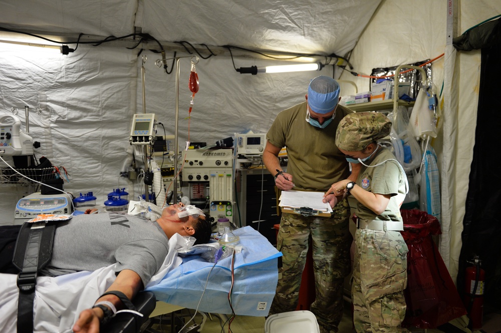 Task Force Medical Role 3 mass casualty exercise