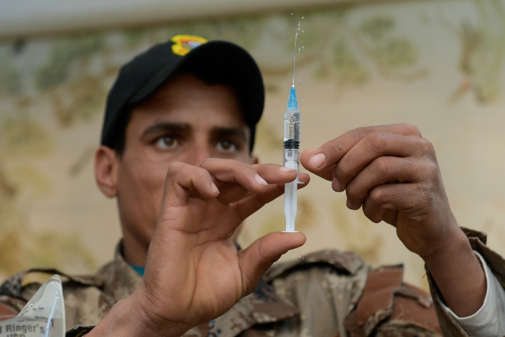 CTS Medics Intramuscular Injection Training