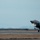 Lightning II strikes Iwakuni, F-35B arrives A dark-colored fifth-generation stealth fighter jet, consistent with an F-35 variant, is captured during takeoff or landing on a runway at dusk or dawn. The aircraft's landing gear is deployed and visible, with exhaust heat distortion visible behind the engine. A control tower building and distant mountains are visible in the background.