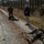 Defeat the Device A military training exercise is taking place on a dirt road surrounded by pine forest. Several personnel in camouflage uniforms are present, with two individuals lying on the ground simulating casualties, while others stand or kneel nearby. A civilian-dressed individual in a black jacket and khaki pants appears to be observing or instructing the exercise.