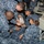 170117-N-DS065-0043 Several U.S. Navy personnel in NWU (Navy Working Uniform) digital camouflage are conducting what appears to be a medical training exercise or casualty drill aboard a naval vessel. One sailor is lying on the deck in a simulated casualty role while multiple shipmates attend to them, applying bandaging or a cervical collar to the head/neck area. The setting appears to be an interior compartment of a ship with visible equipment consoles.