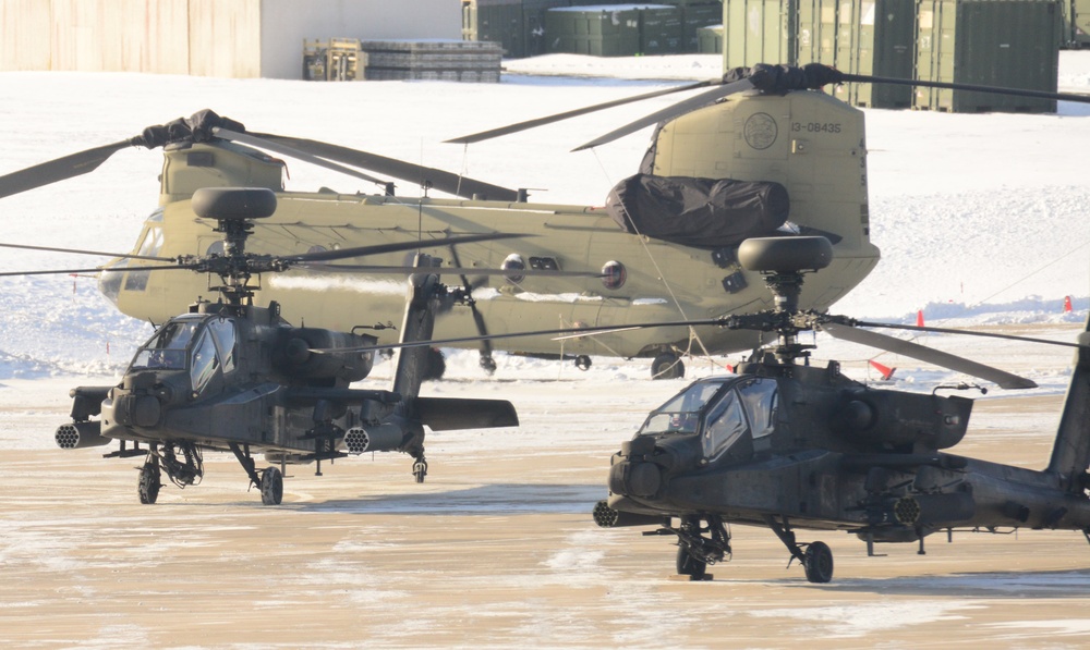 U.S. Army helicopters on the flight line