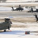 U.S. Army helicopters on the flight line