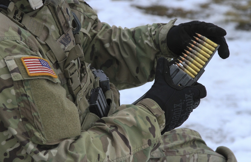 Marksmanship density unites NATO allies