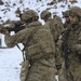 Marksmanship density unites NATO allies