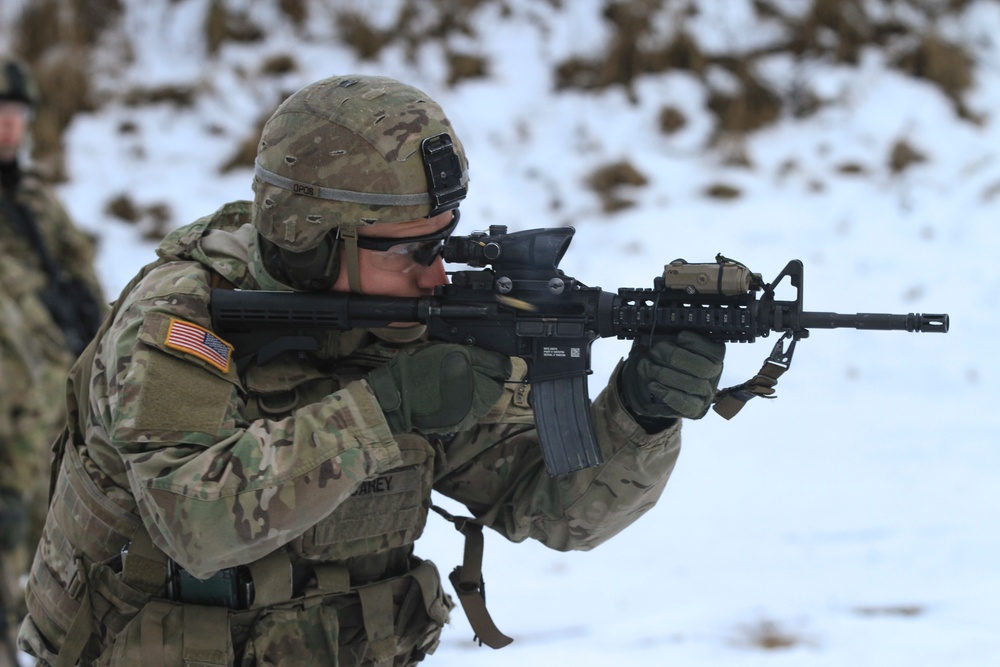 Marksmanship density unites NATO allies