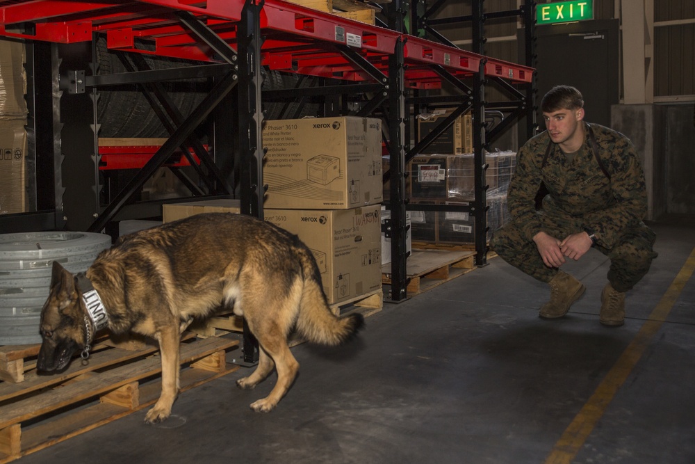 K-9 explosive training