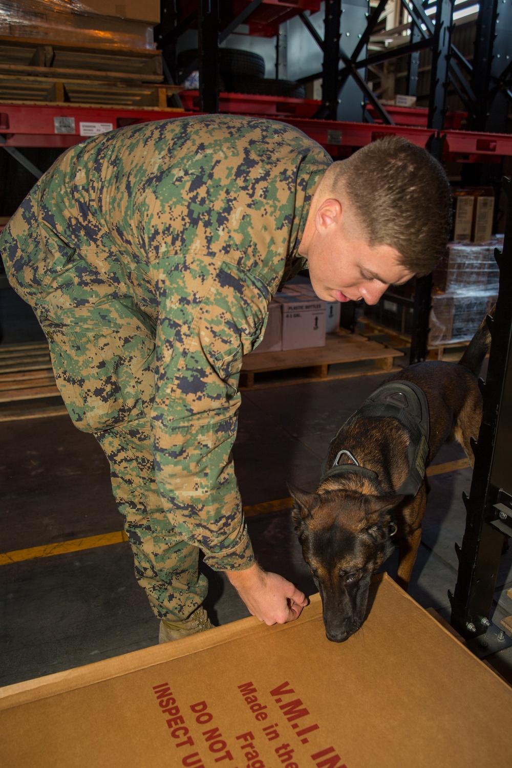 K-9 explosive training