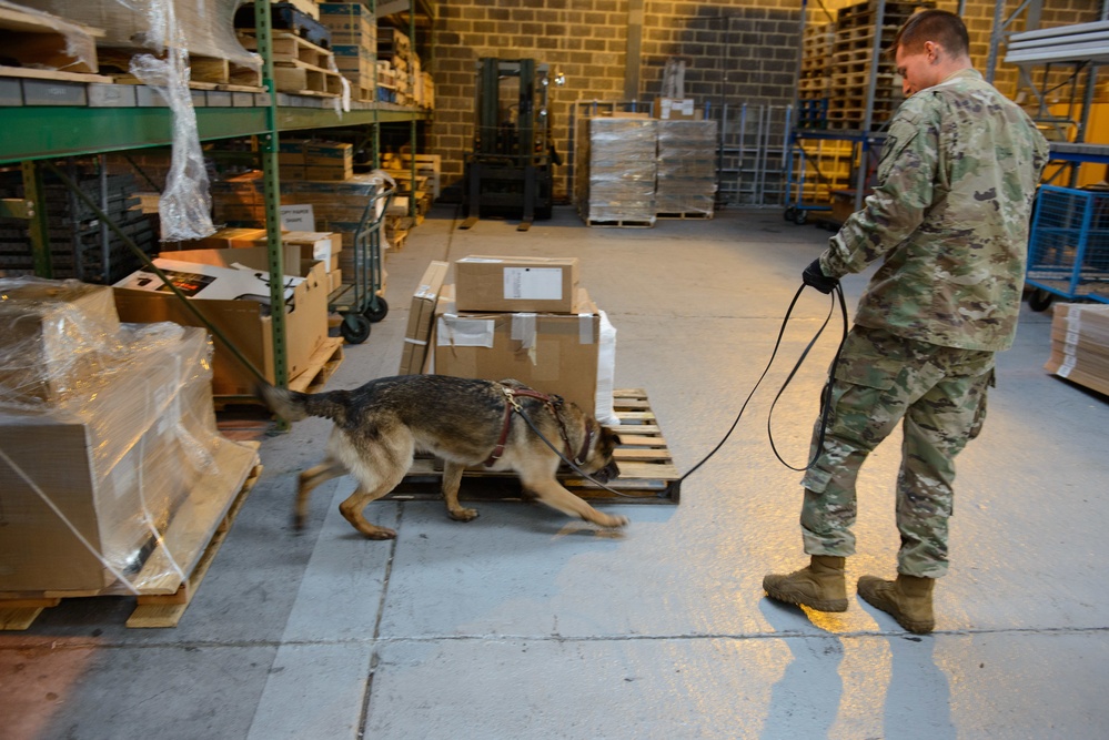 Military Working Dog and Handler Train in a Hangar
