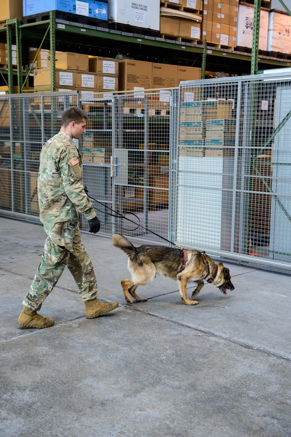 Military Working Dog and Handler Train in a Hangar
