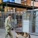 Military Working Dog and Handler Train in a Hangar