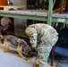 Military Working Dog and Handler Train in a Hangar