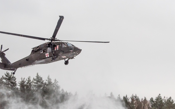 Dogs, medics take to the air