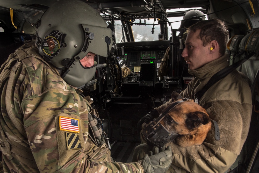 Dogs, medics take to the air