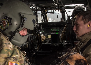 Dogs, medics take to the air