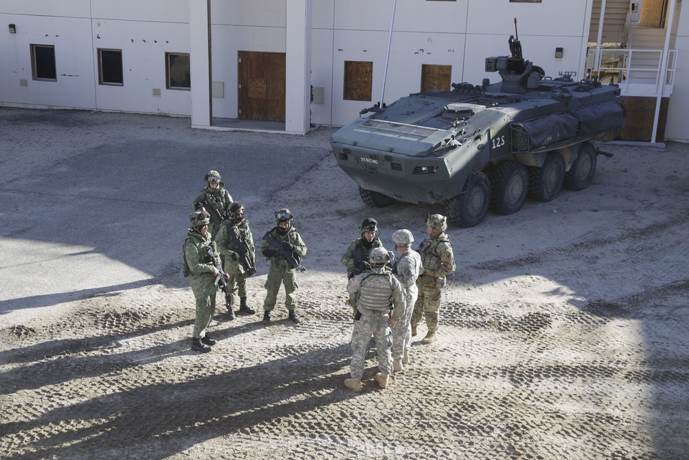 U.S. Army Joint Training at NTC