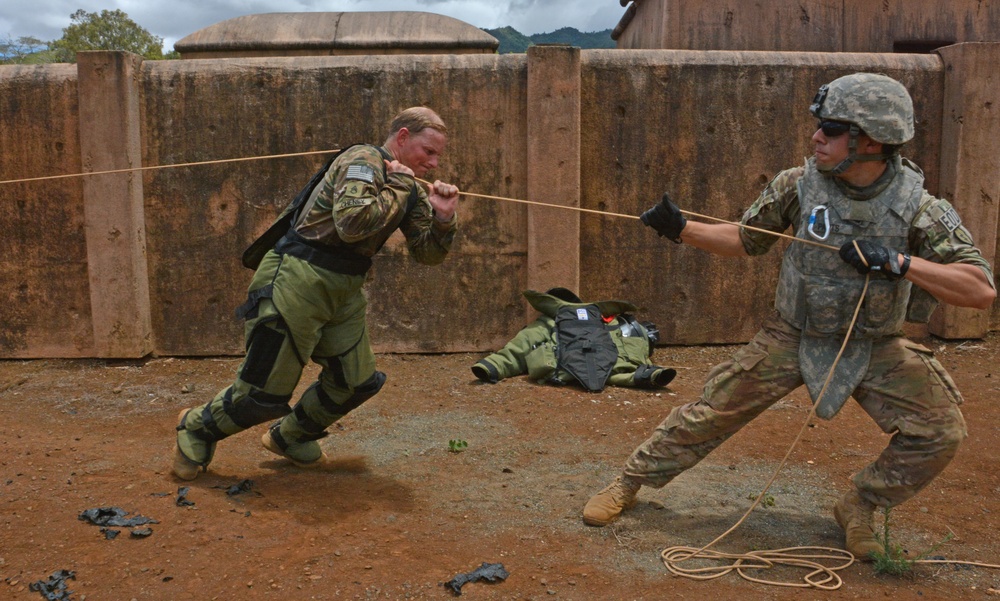 74th EOD Co. wins USARPAC TOY competition two years running
