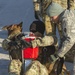 MWD Helicopter Familiarization Training