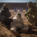 Ninevah Police group and zero AK-47 assault rifles