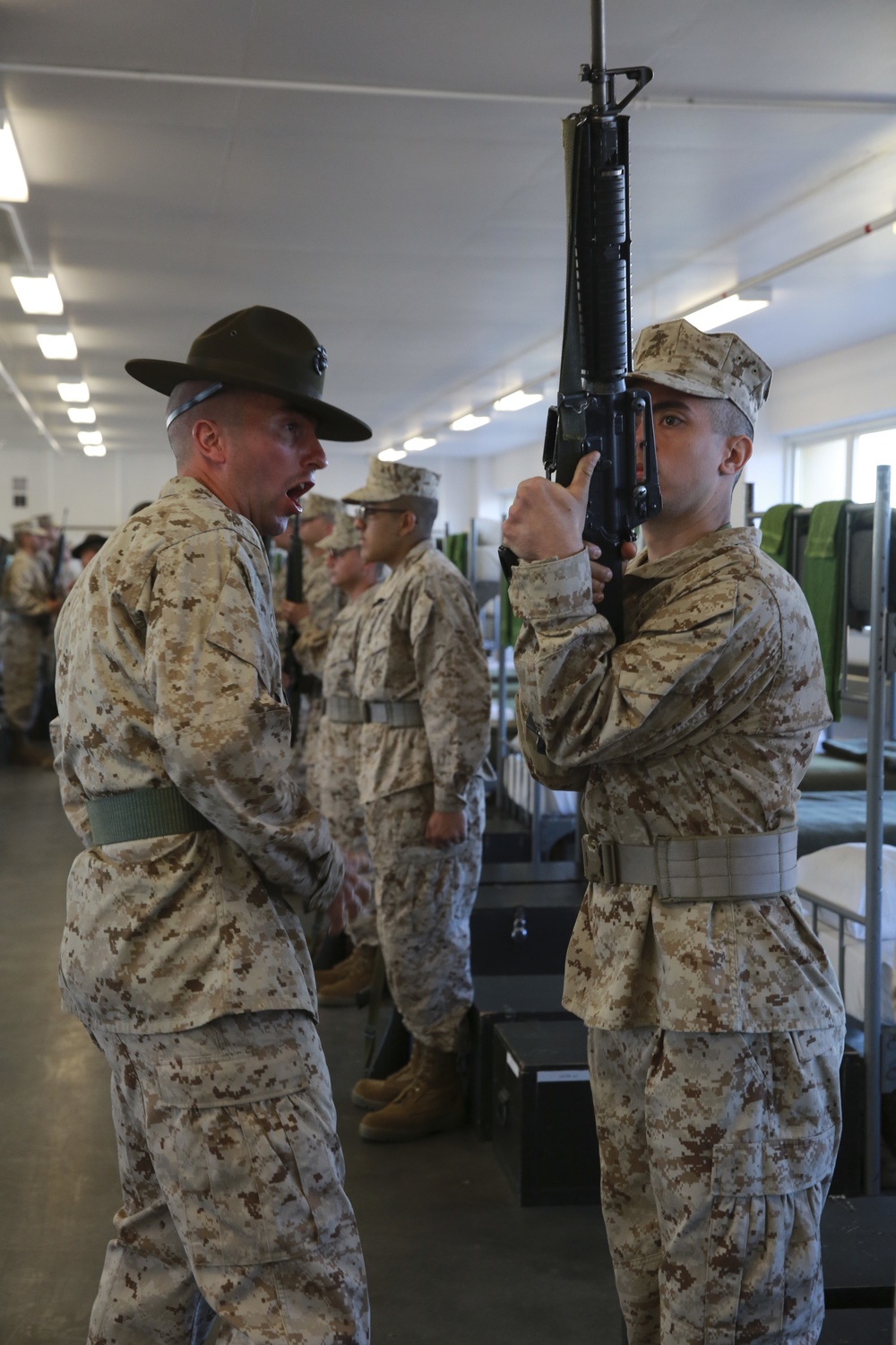 Mike Company SDI Inspection