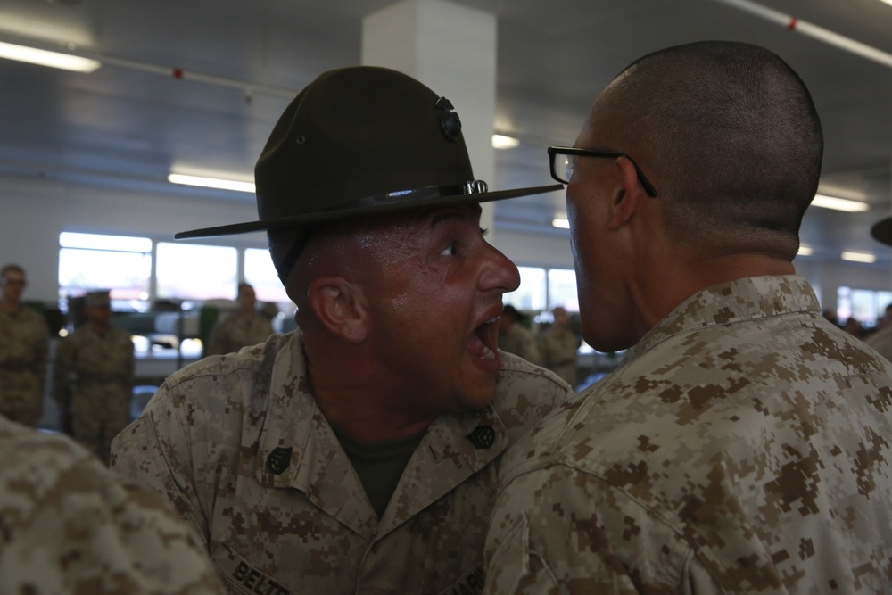 Mike Company SDI Inspection