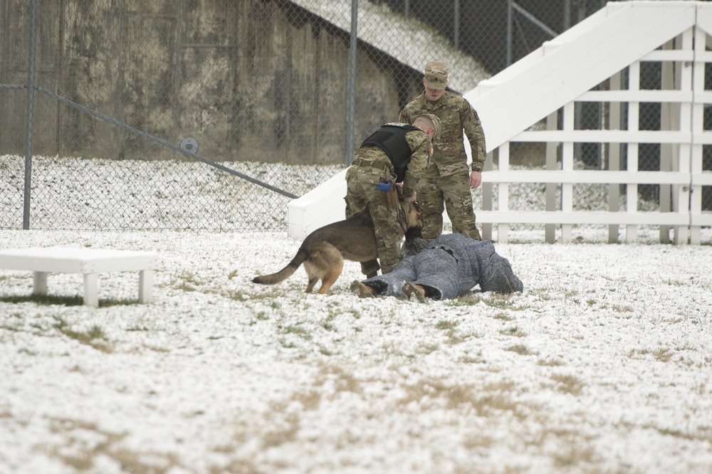SEAC Visits 3rd U.S. Infantry Regiment (The Old Guard)