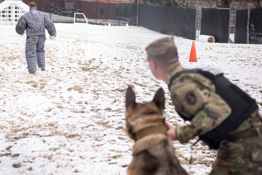 SEAC Visits 3rd U.S. Infantry Regiment (The Old Guard)