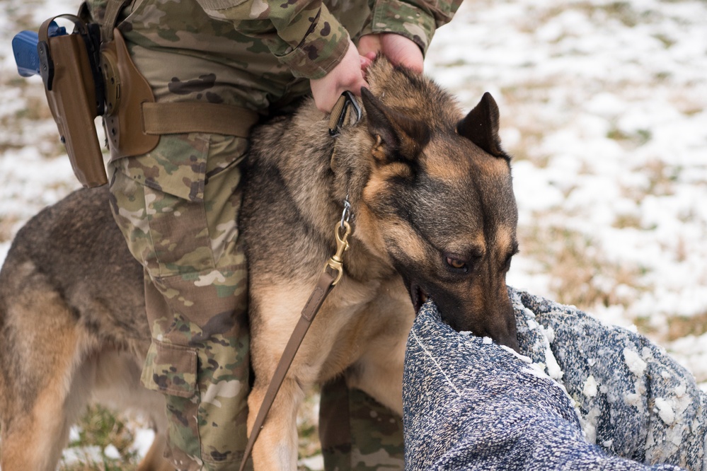 SEAC Visits 3rd U.S. Infantry Regiment (The Old Guard)