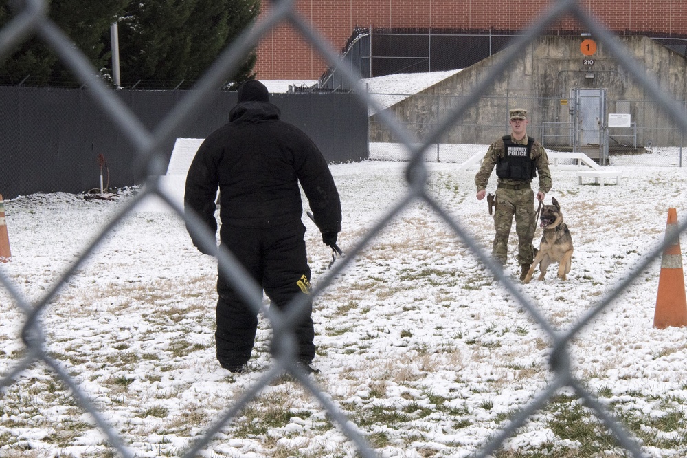 SEAC Visits 3rd U.S. Infantry Regiment (The Old Guard)