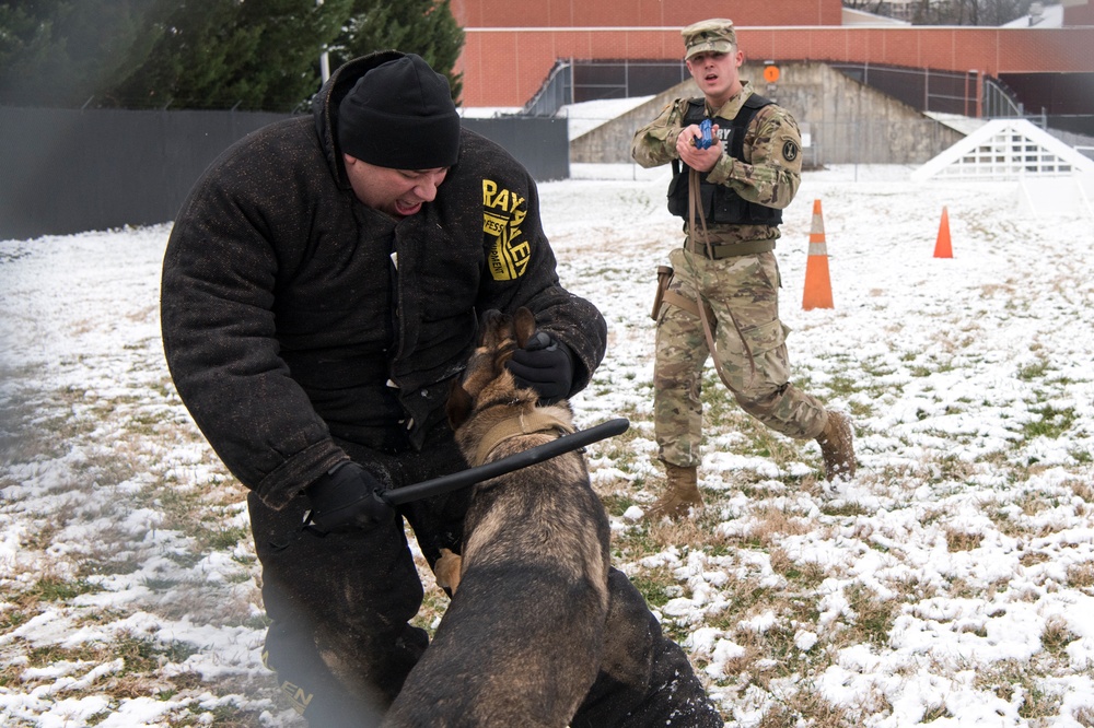 SEAC Visits 3rd U.S. Infantry Regiment (The Old Guard)