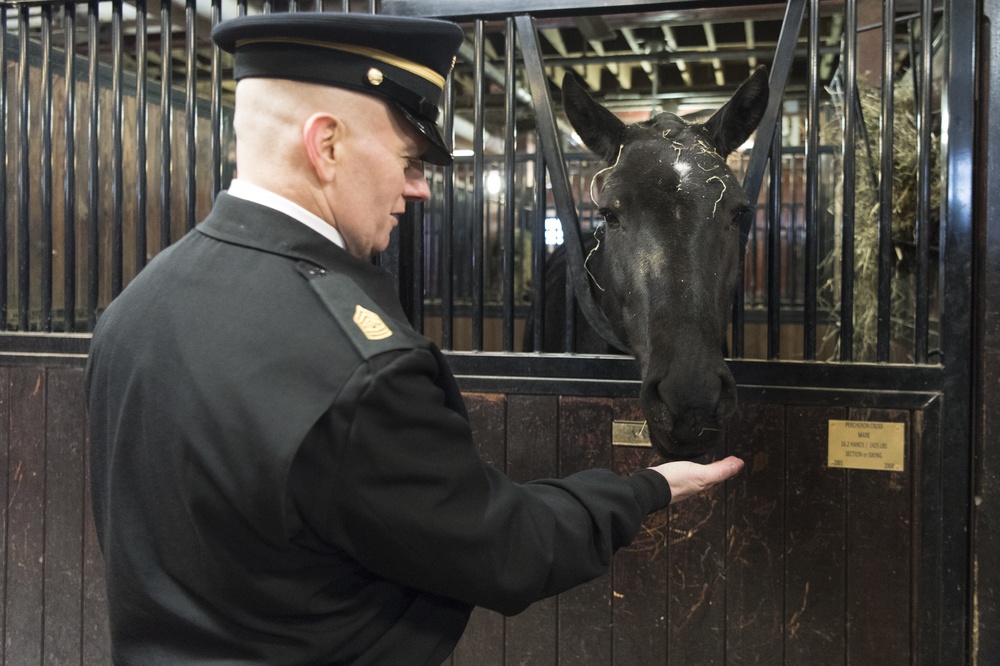 SEAC Visits 3rd U.S. Infantry Regiment (The Old Guard)