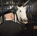 SEAC Visits 3rd U.S. Infantry Regiment (The Old Guard)