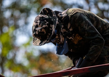 Working Together to Build a Better Future:Cobra Gold 2017