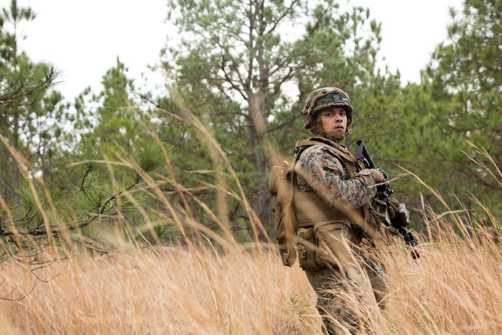 2/6 Battalion FEX III