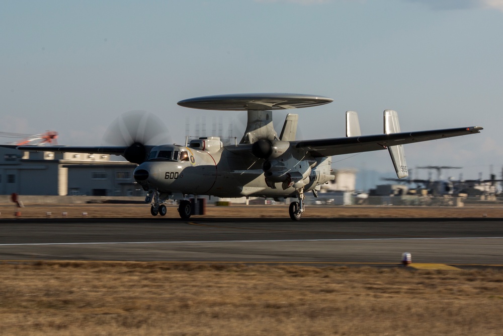 Tigertails tread in new territory