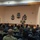 CNP speaks with Sailors at the Senior Enlisted Academy