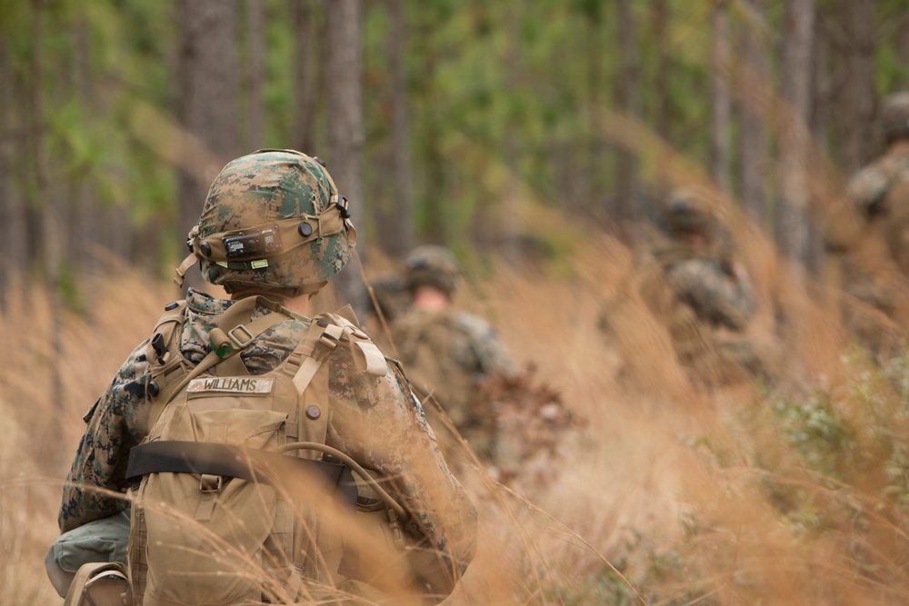 2/6 Battalion FEX III